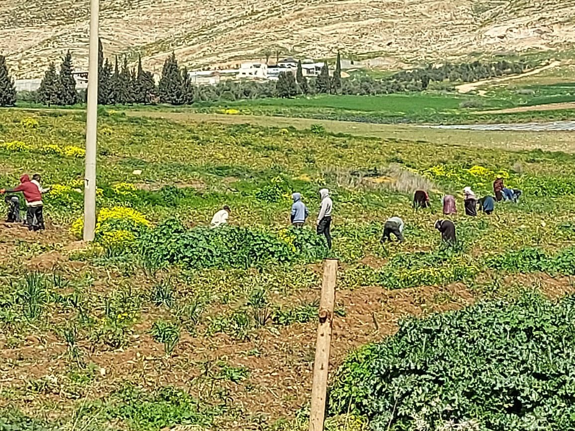 زيارات ميدانية وورشة عمل لنقابة العاملين في الزراعة والصناعات الغذائية